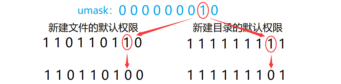 Shell的运行原理以及Linux当中的权限问题