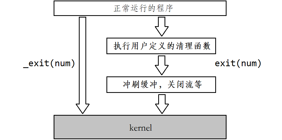 Linux进程控制（精讲）