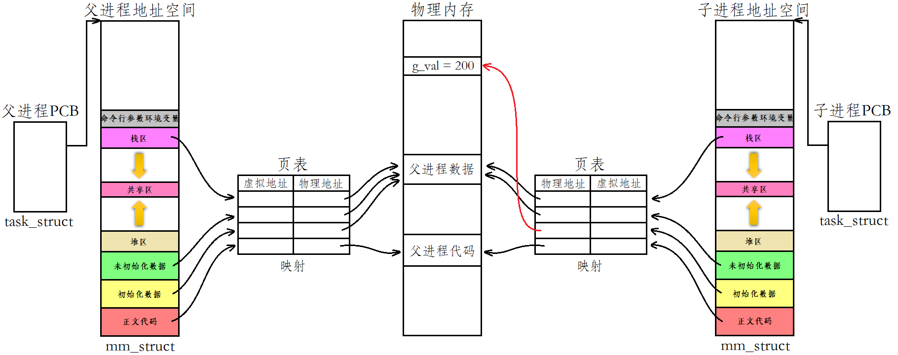 Linux进程概念（精讲）