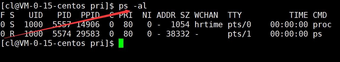 Linux进程概念（精讲）