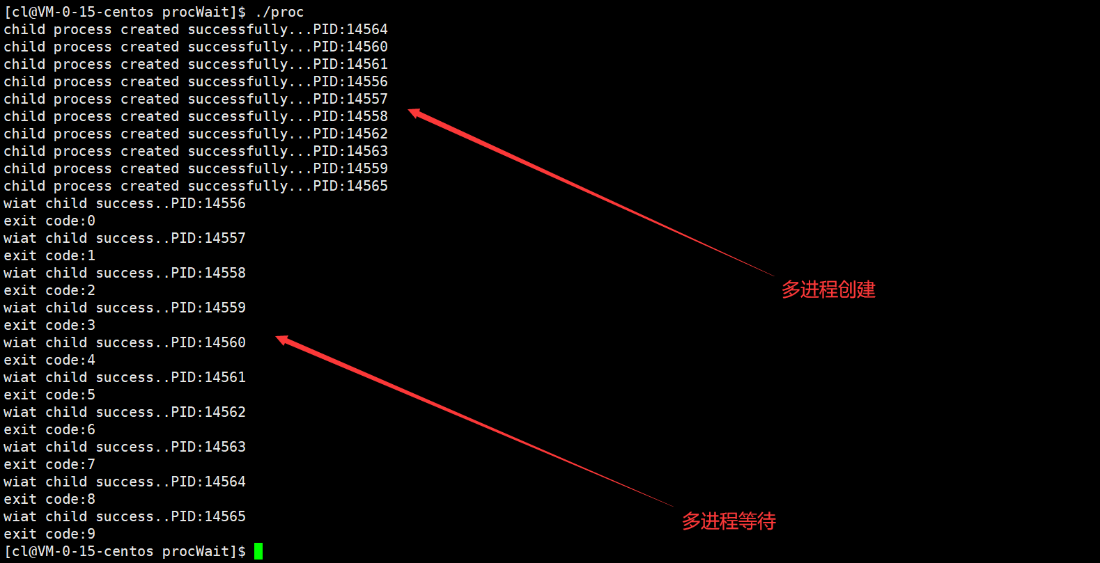 Linux进程控制（精讲）