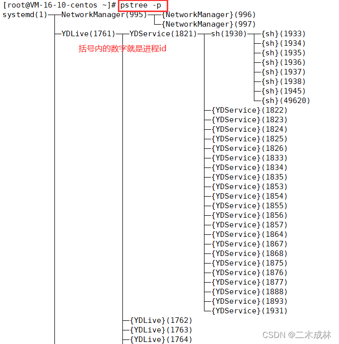 Linux命令之树状图显示所有进程pstree