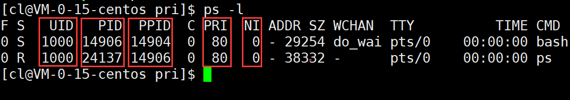 Linux进程概念（精讲）