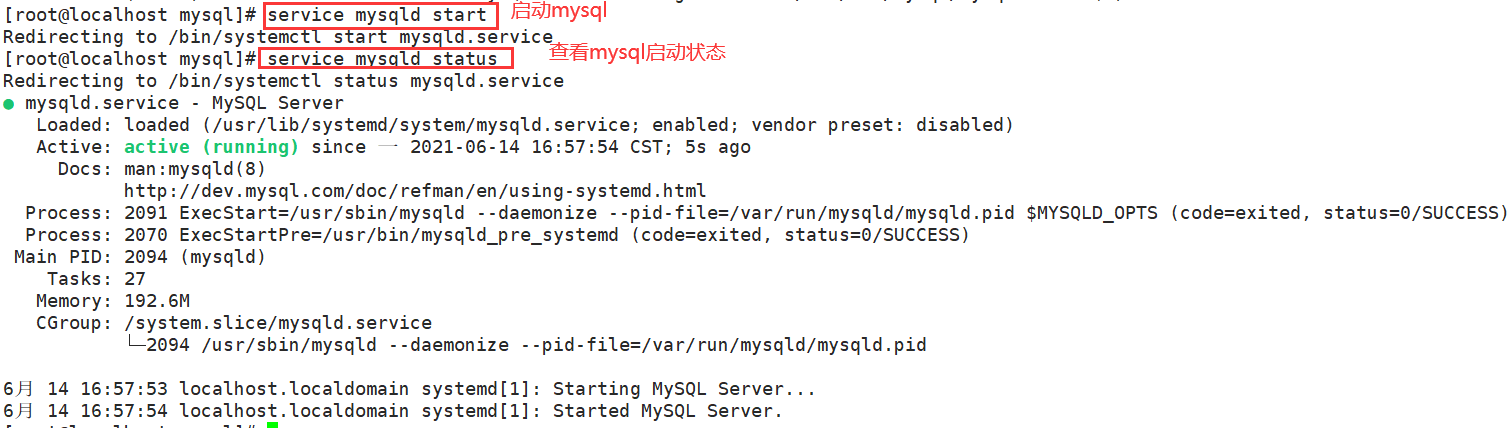 在Linux中安装MySQL