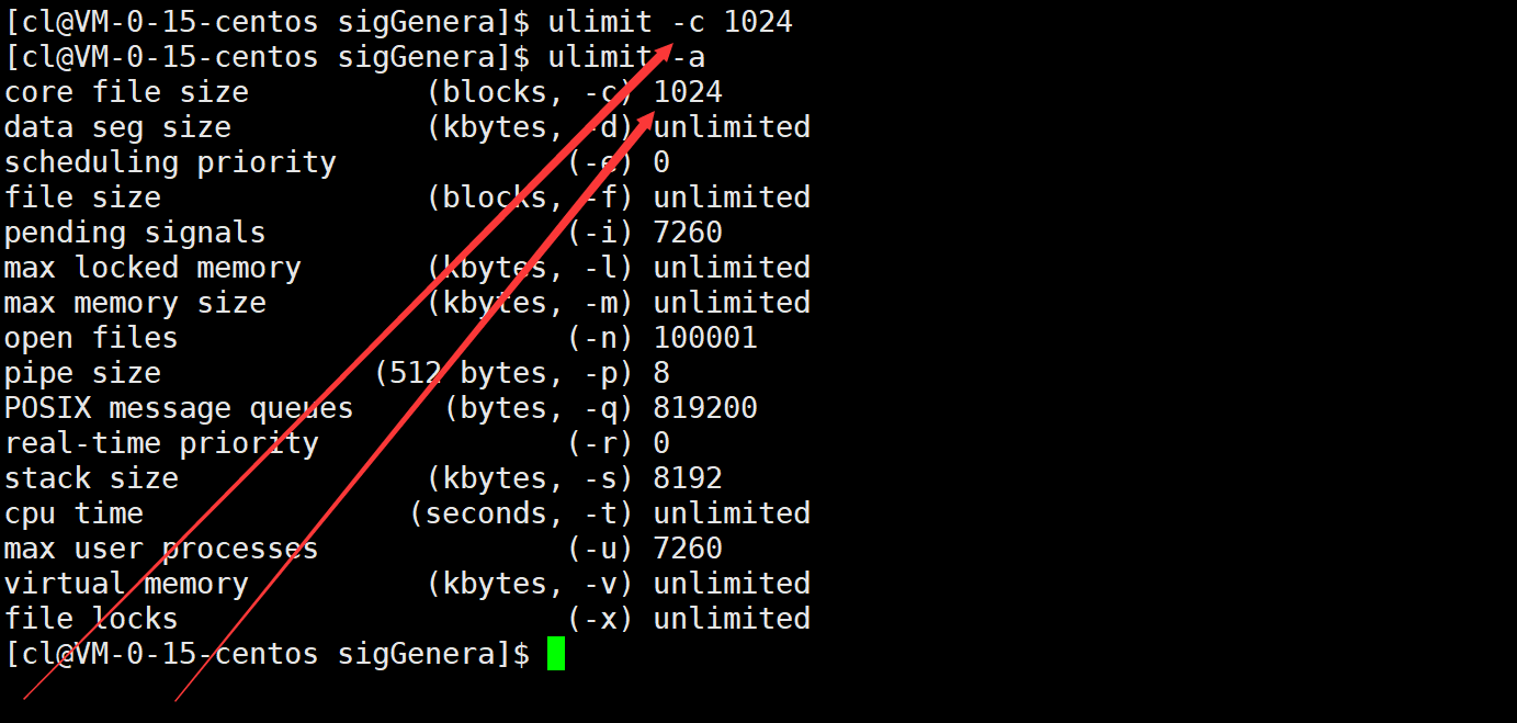 Linux进程信号