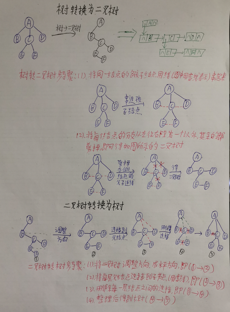 考研数据结构之树（6.4）——树和森林与二叉树的相互转换（C表示）