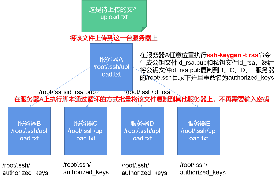 让两台甚至多台Linux服务器建立SSH信任关系