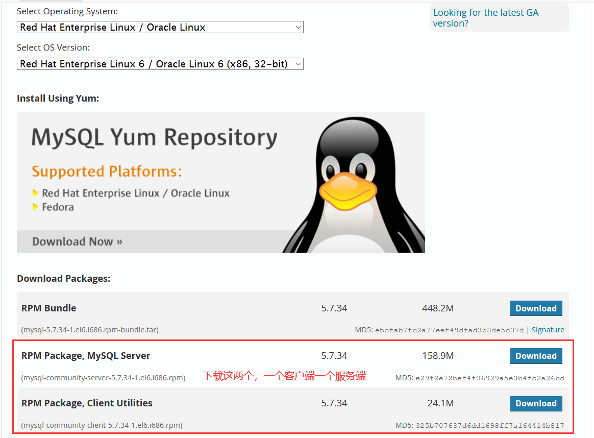 在Linux中安装MySQL