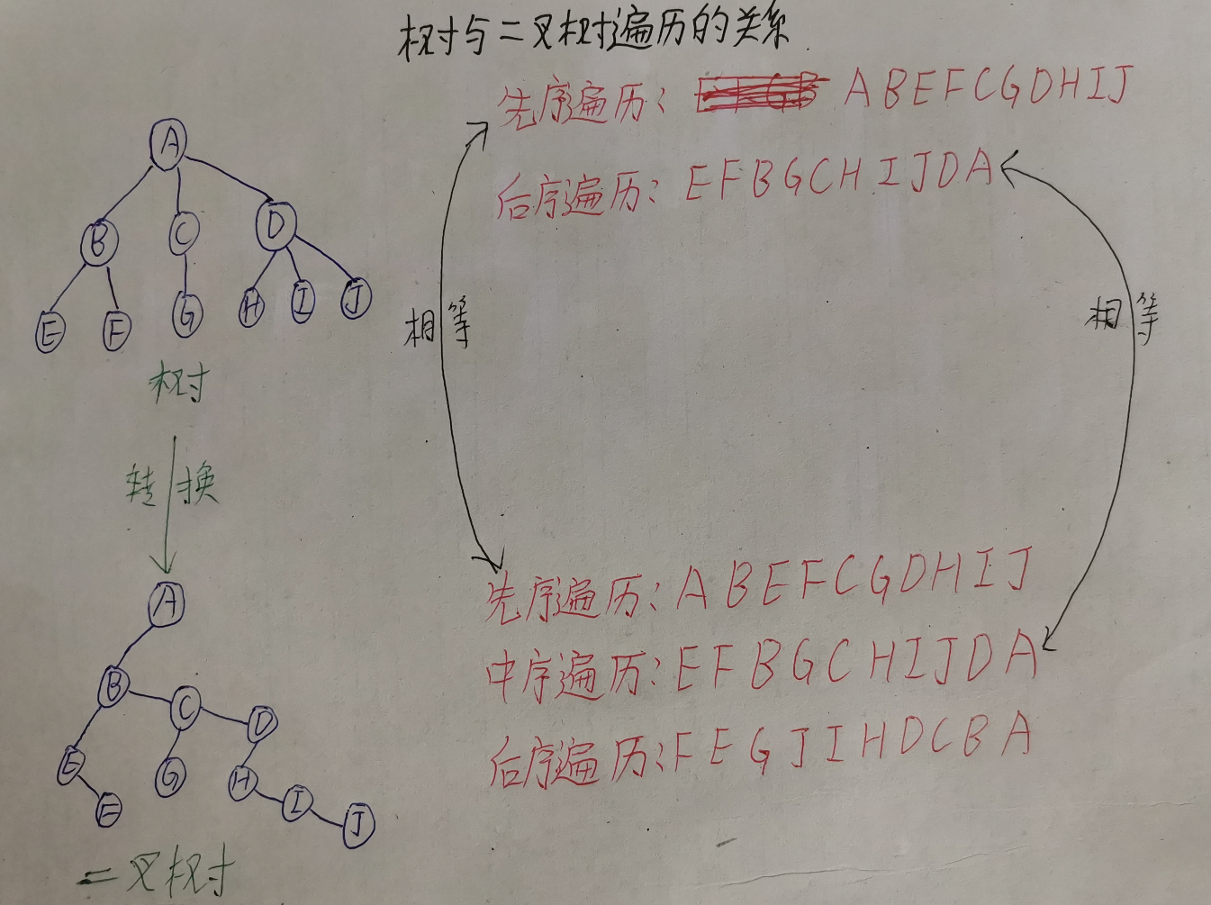 考研数据结构之树（6.4）——树和森林与二叉树的相互转换（C表示）