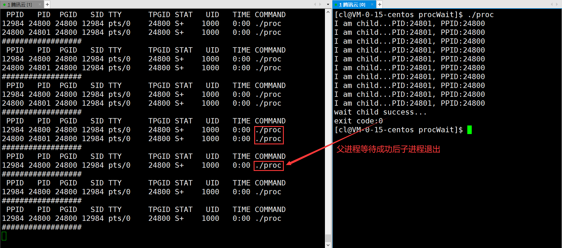 Linux进程控制（精讲）