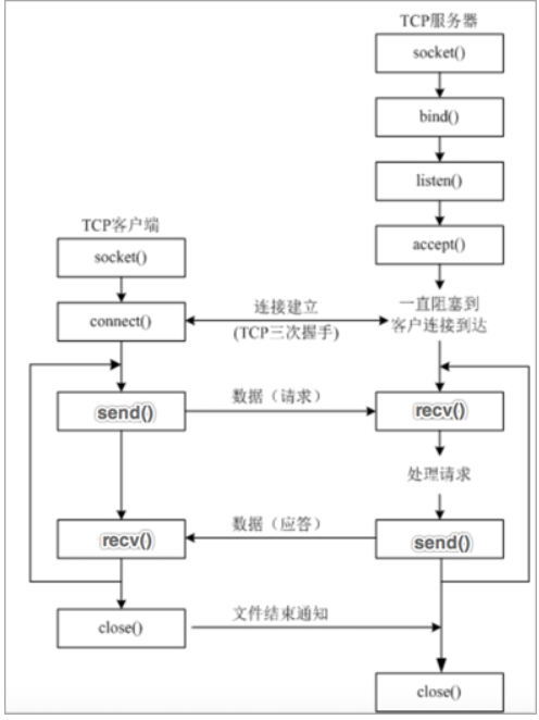 TCP 网络应用程序开发流程