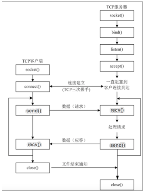 TCP 网络应用程序开发流程