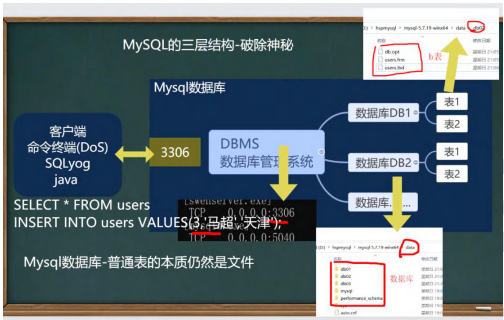 Mysql概述