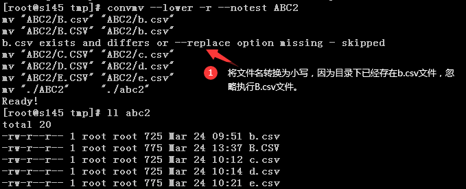 Linux命令之convmv命令