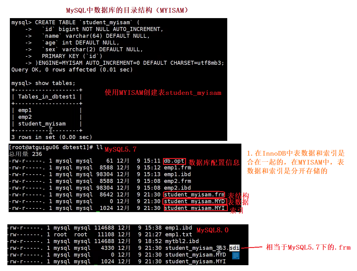 《MySQL高级篇》一、MySQL的目录结构