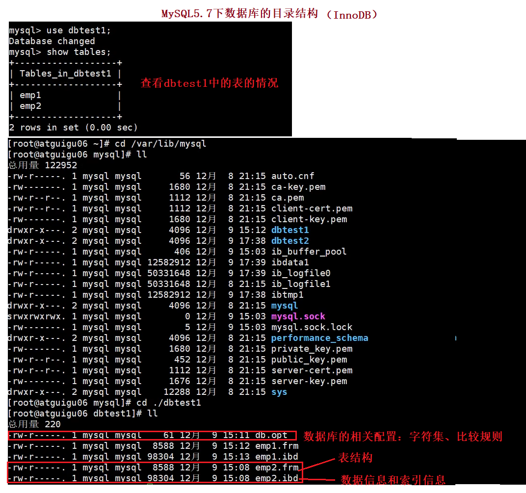 《MySQL高级篇》一、MySQL的目录结构