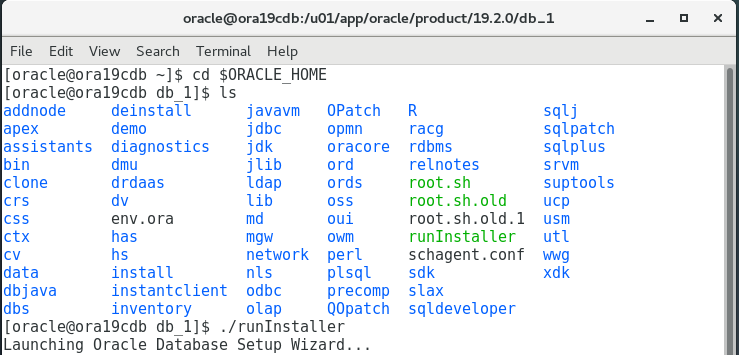 【OracleDB】CentOS 7.5中安装Oracle Database 19c单实例过程