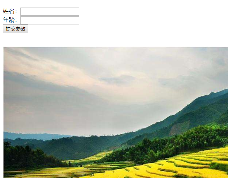 解读静态资源的访问