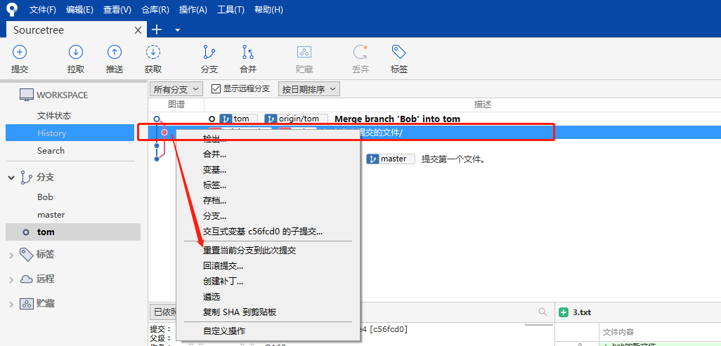 Git 管理工具 SourceTree 的使用（上手简单，不熟悉git命令的开发者必用）