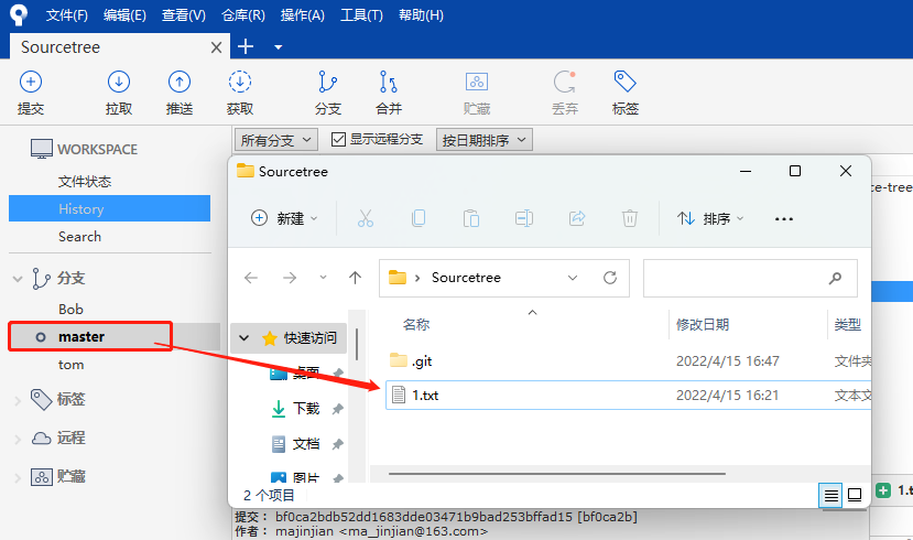 Git 管理工具 SourceTree 的使用（上手简单，不熟悉git命令的开发者必用）