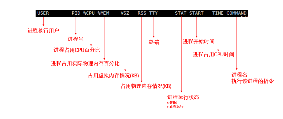 Linux【实操篇】—— 进程管理、服务管理、软件包管理(rpm、yum)