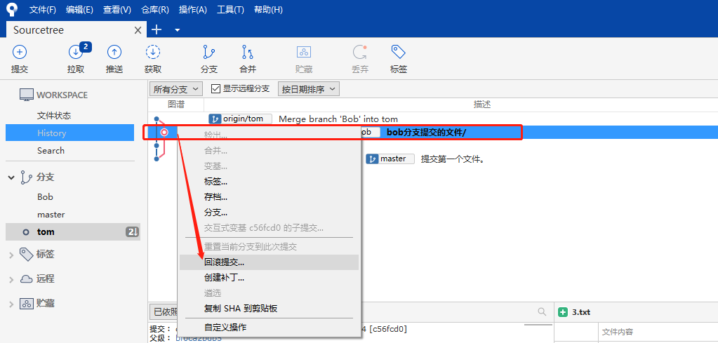 Git 管理工具 SourceTree 的使用（上手简单，不熟悉git命令的开发者必用）