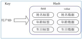 【Redis】Hash哈希类型基本使用