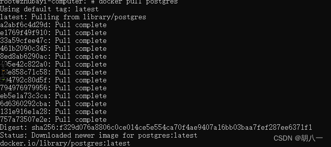 docker安装postgresql