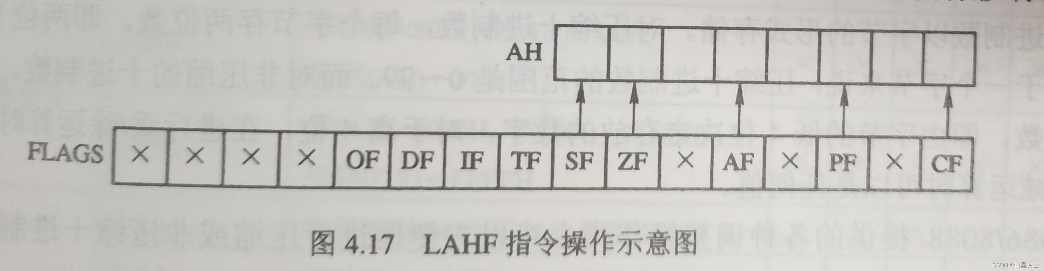 1 数据传送指令【微机原理】