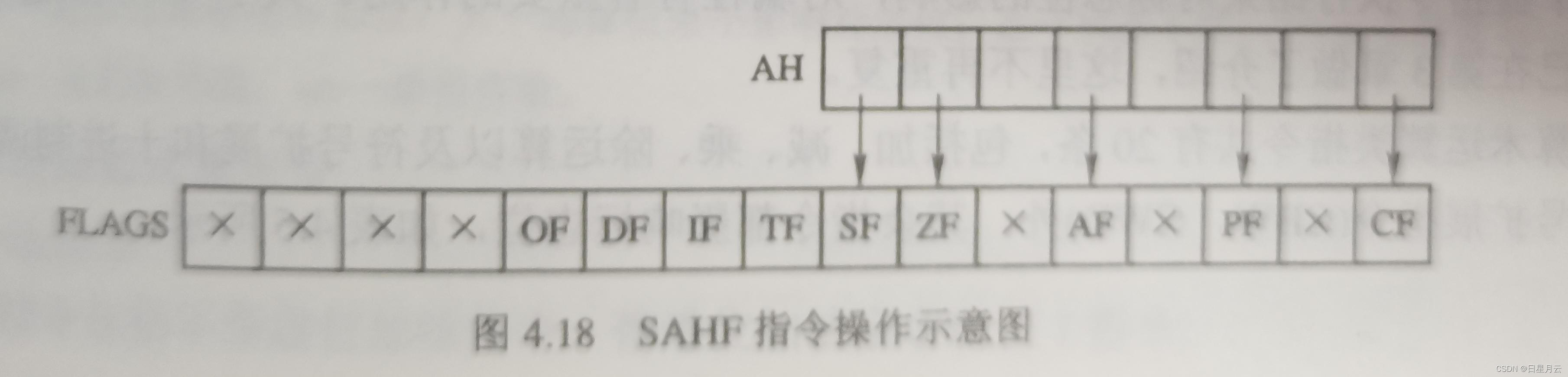 1 数据传送指令【微机原理】