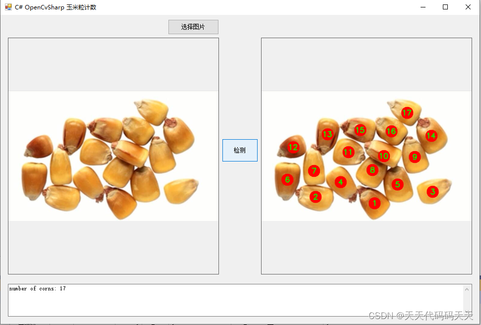 C# OpenCvSharp 玉米粒计数