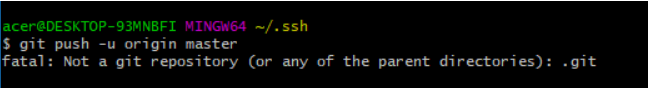 fatal: Not a git repository (or any of the parent directories): .git