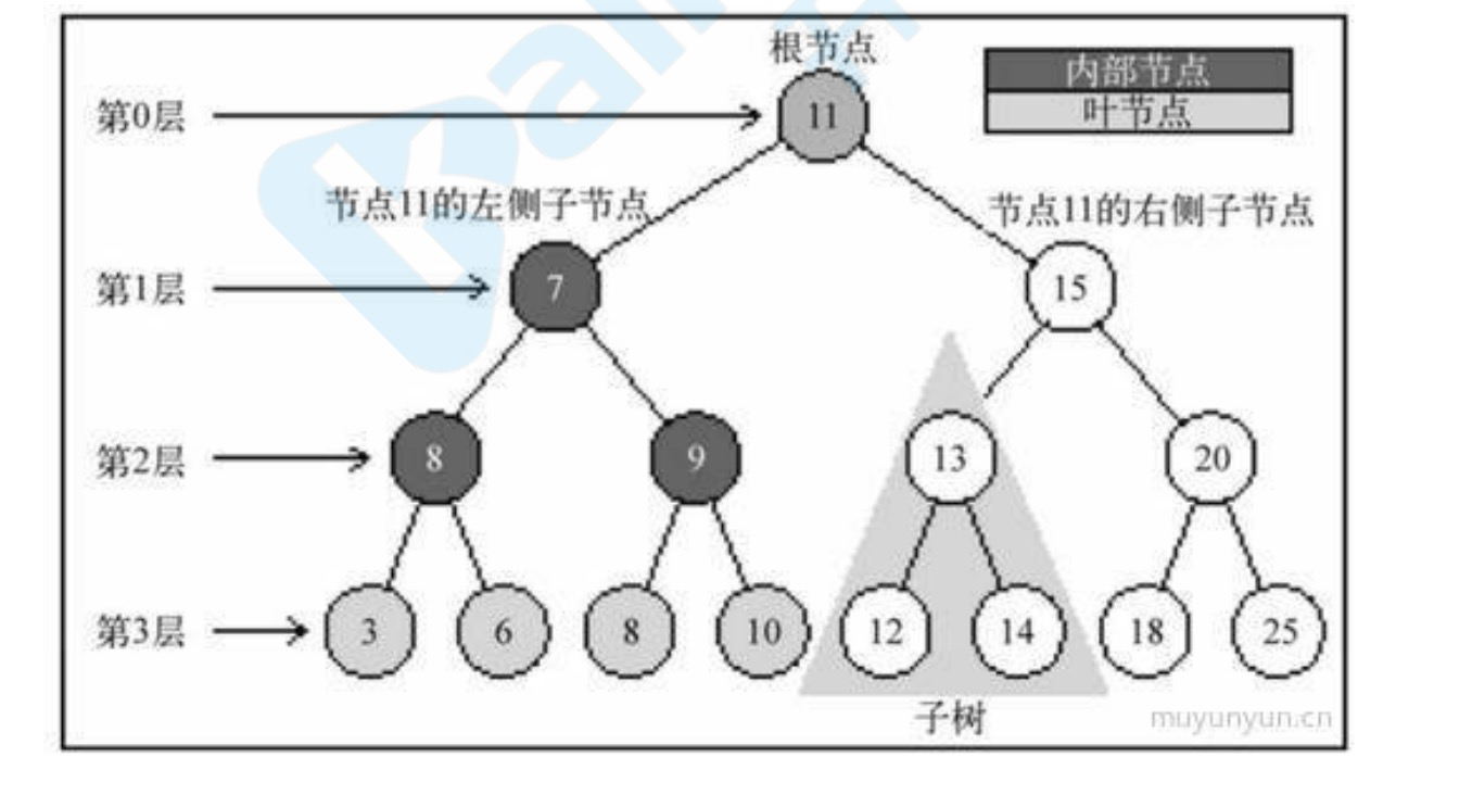 算法：对树的研究