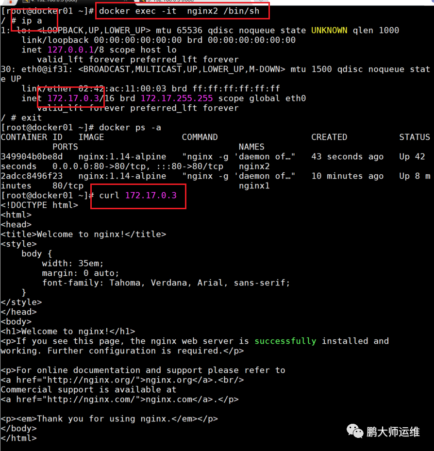 02在centos7下的docker容器与docker网络