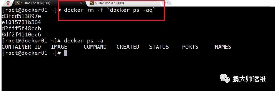 02在centos7下的docker容器与docker网络