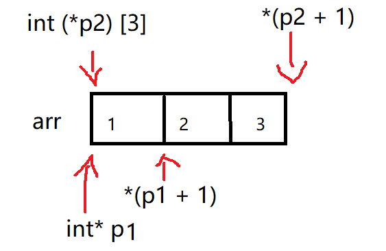 数组指针