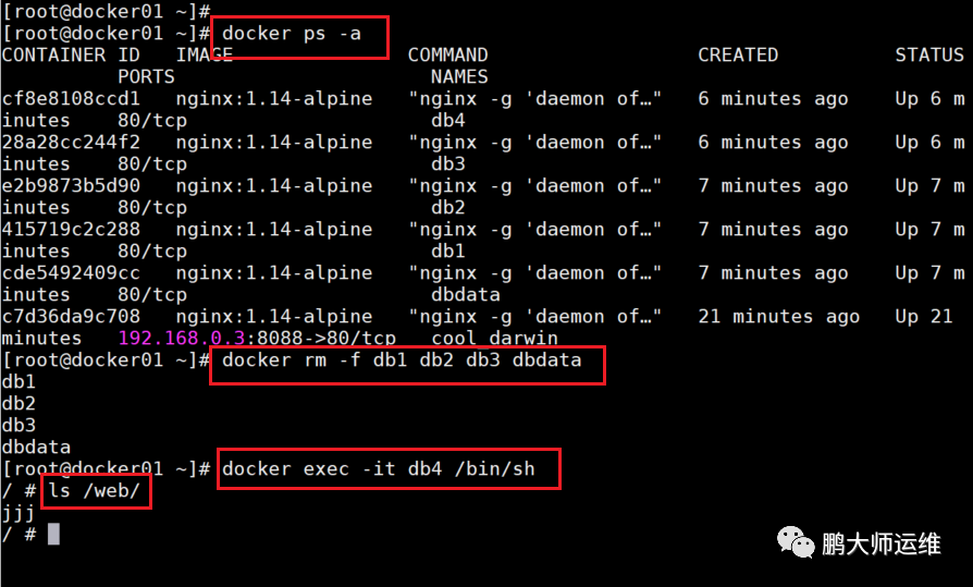 03关于docker的容器操作