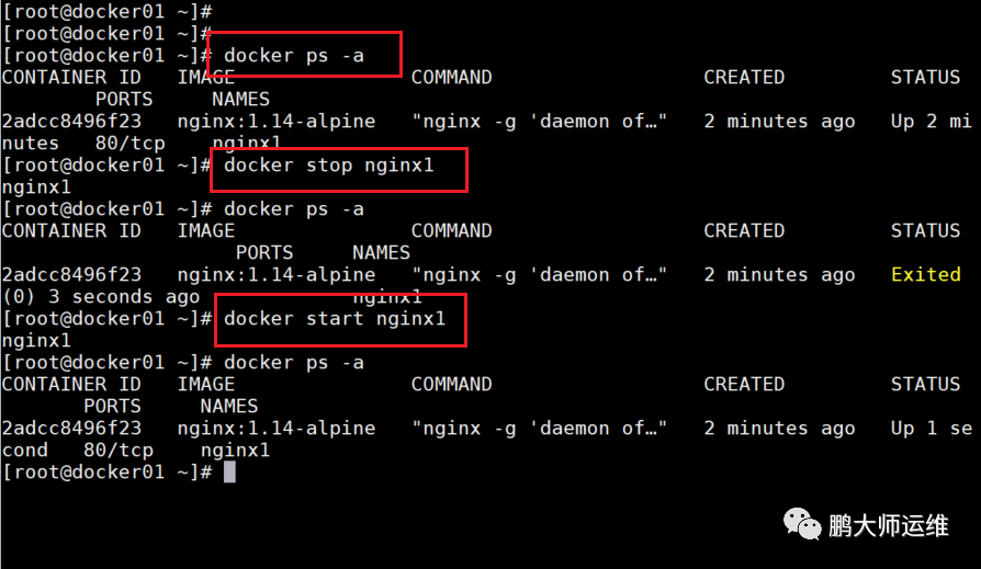 02在centos7下的docker容器与docker网络