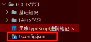 TS的初始化的配置文件