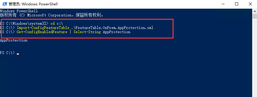 Citrix  Workspace 防截屏功能配置