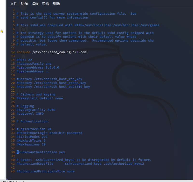 kali Linux ：开启ssh （远程连接）