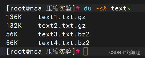 Linux：《gzip》《bzip2》压缩&&解压