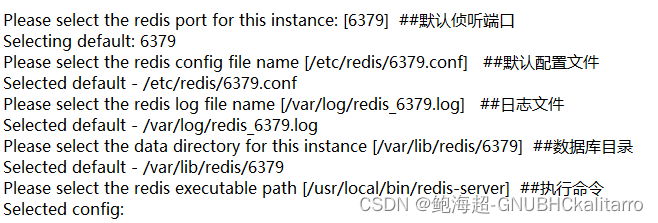 Linux：redis数据库源码包安装