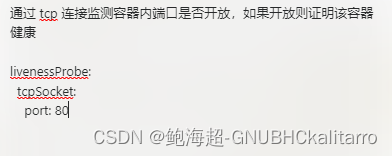 Linux：kubernetes（k8s）探针的简介（7）