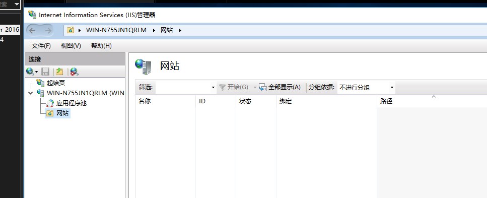 Windows server ： 在一台设备上开启多个网站 三种 其一（通过主机名区分多个）dns解析