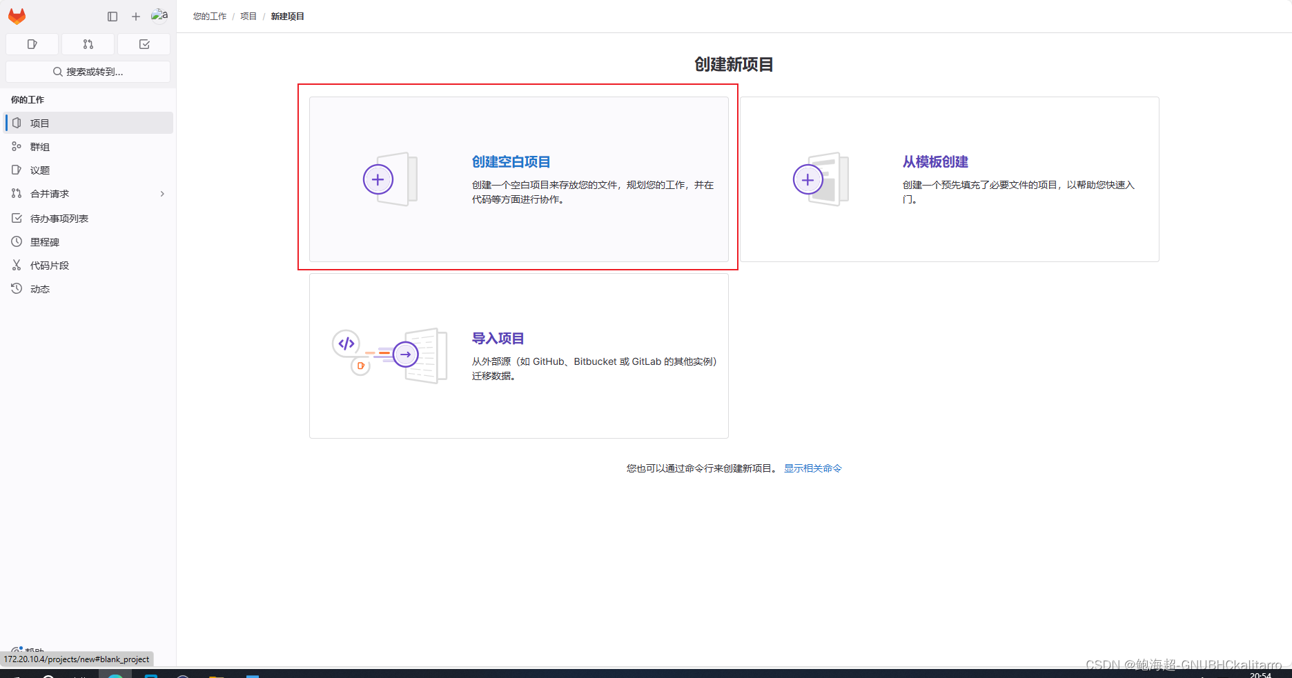 Linux：Gitlab:16.9.2 创建用户及项目仓库基础操作（2）