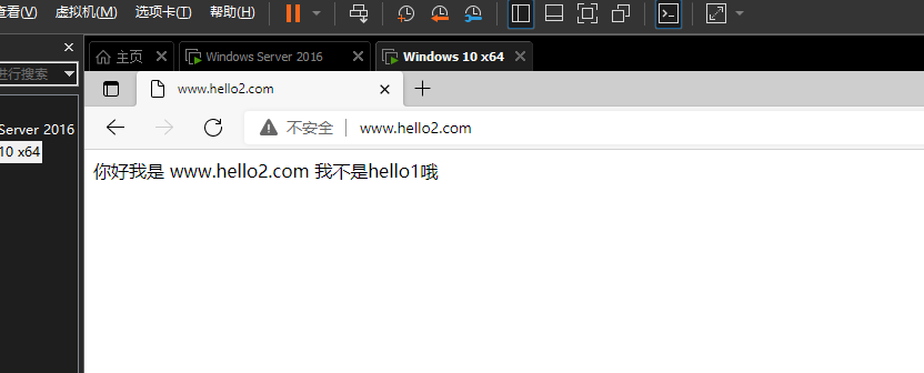 Windows server ： 在一台设备上开启多个网站 三种 其一（通过主机名区分多个）dns解析