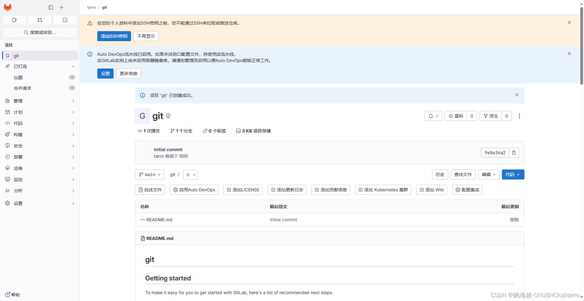 Linux：Gitlab:16.9.2 创建用户及项目仓库基础操作（2）