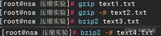 Linux：《gzip》《bzip2》压缩&&解压