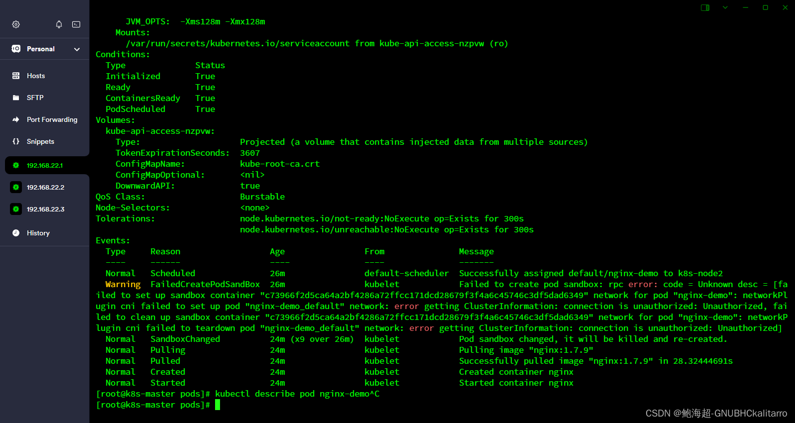 Linux：kubernetes（k8s）pod的基础操作（6）